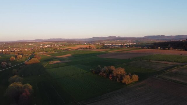 v&ouml;gel vor der teck