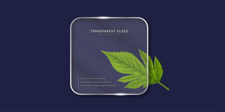 Website template in glass morphism style. Frosted glass partition with cannabis leaf. Vector illustration