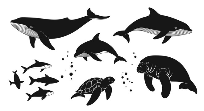 Whale, Dolphin, Shark, Turtle, Manatee Silhouette Collection - Ocean Wildlife Set
