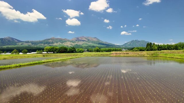 南阿蘇村のカルデラに広がる田んぼ
