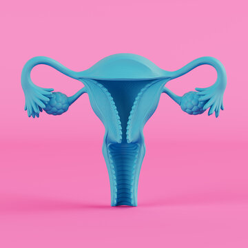 Reproductive Health And Gynecology Concept. Blue Duotone Uterus Anatomy Symbolizes Fertility, Wellness, And Care On Pink Background. 3d Rendering