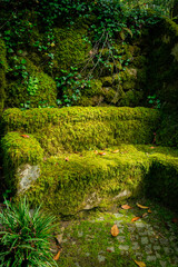Fototapeta premium Enchanting Green Mossy Stone Garden Bench and Wall in a Lush, Verdant Outdoor Setting. Vertical photo