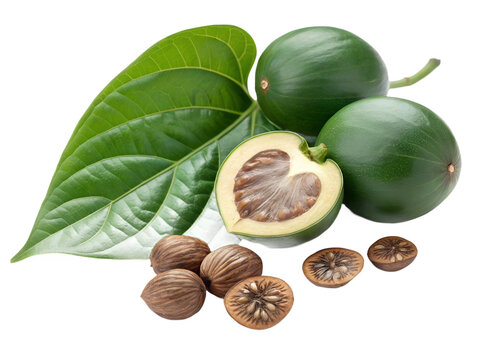 Fresh Betel Nut Cluster with Whole Green Areca Nuts, Sliced Halves, and Piper Betle Leaves Isolated on White Background &ndash; Hyper-Realistic Traditional Asian Herb and Botanical Photography