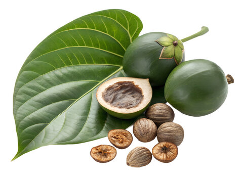 Fresh Betel Nut Cluster with Whole Green Areca Nuts, Sliced Halves, and Piper Betle Leaves Isolated on White Background &ndash; Hyper-Realistic Traditional Asian Herb and Botanical Photography
