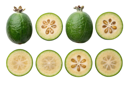 Fresh Whole Feijoa Fruits with Slices Halves and Wedges Isolated on White Background &ndash; Hyper-Realistic Acca Sellowiana Guavasteen Photography for Tropical Culinary Food and Juice Design