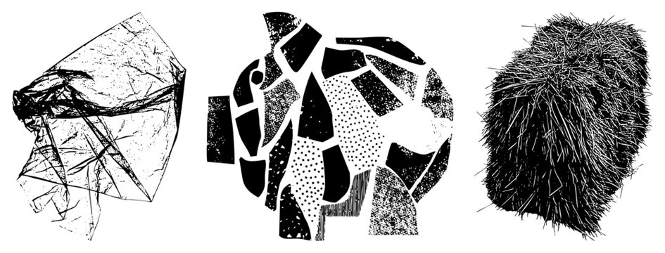 This gritty collection presents a torn scrap, a patchwork mosaic, and a fuzzy tuft. These textured elements, including a rag and a shaggy clump, offer high contrast organic shapes.