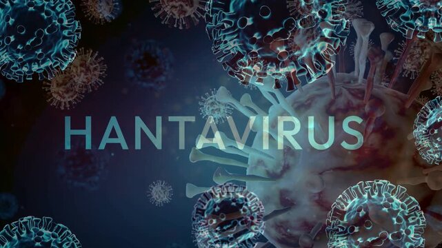 Newspaper or report style layout with highlighted headline about hantavirus prevention.