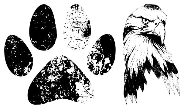 Fierce bald eagle or feathered predator head paired with a rough track. This weathered talon mark and raptor portrait feature heavy stippling and a worn texture.
