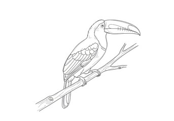 Naklejka premium A toucan perches on a branch. The toucan is a colorful bird with a large, curved beak.