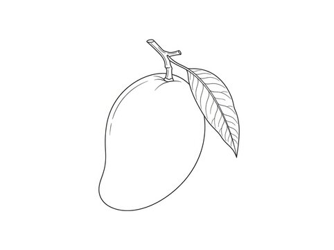 A mango with a leaf is drawn in a simple line style. The mango is a rounded shape with a stem and a leaf attached.