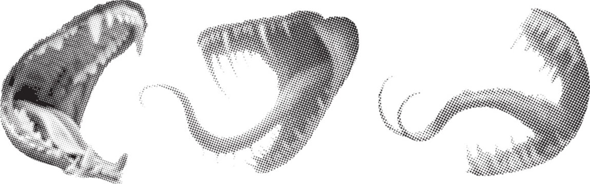 Abstract halftone snake mouth illustration set with dotted grayscale texture and aggressive reptile fangs, dynamic pop art animal graphics for tattoo designs, horror posters and wild nature themes