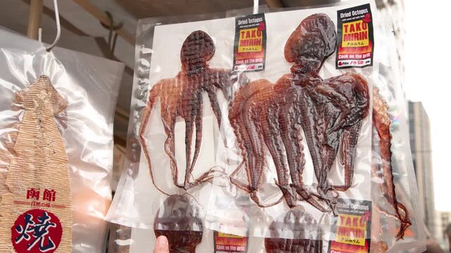 Vacuum Sealed Dried Octopus at Tsukiji Outer Fish Market in Tokyo