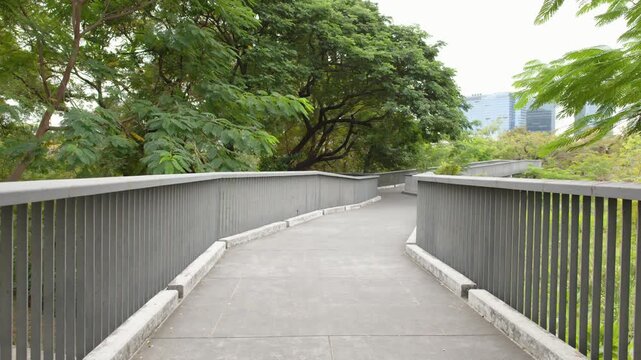 Elevated Pedestrian Walkway Through Lush Green Trees in Bangkok Park