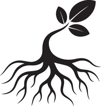 Black and white of a stylized tree with long roots and branches monochrome desi