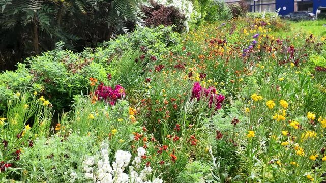 Vibrant Wildflower Garden Bed Blooming in a Paris Public Park