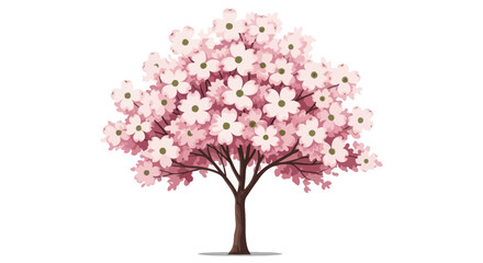 Blooming Cherry Blossom Tree with Pink Flowers and Green Centers © Grid