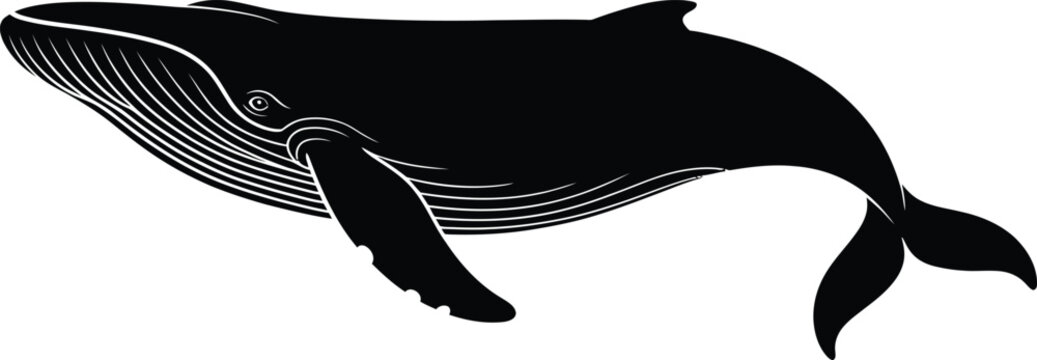 Black Whale Silhouette Swimming on White Background