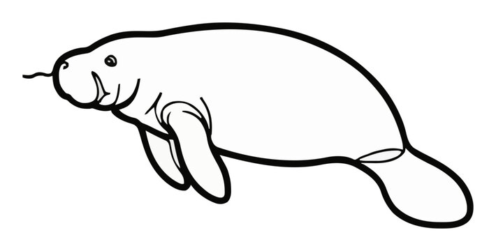 Manatee side view minimalist line art vector. Generative AI