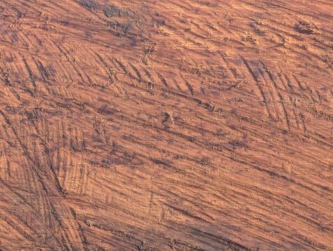 Rough Chainsaw Cut Wood Texture with Raw Timber Grain
Description:
Close-up of a raw, freshly cut wooden log surface showing rough chainsaw marks, distinct natural fibers, and a warm golden-brown text