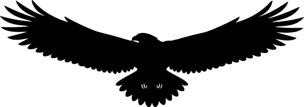 Flying Eagle Silhouette