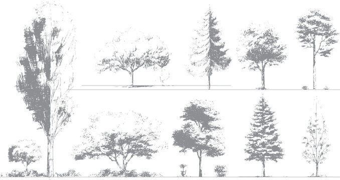 Minimal tree and shrub vector outlines for site planning Landscape design vegetation sketches with front view trees