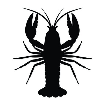 white and black silhoutte desgine