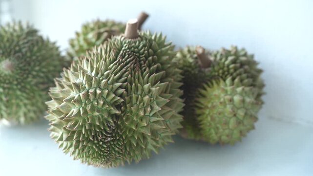 Several fresh durians displayed on a light background, showcasing the spiky texture of the king of fruits.