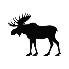 Fototapeta premium Moose silhouette with large antlers, black bull elk profile on white background, wild forest animal icon for hunting and nature logos