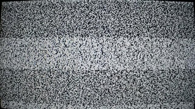 Static noise fills the screen with a chaotic display of black and white pixels.