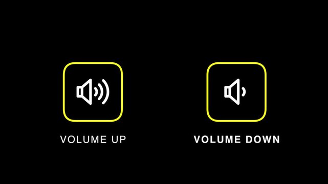 Volume Up and Volume Down Icon Animation Audio Control Interface