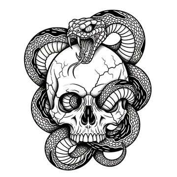 Skull and snake art.