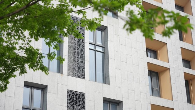 Modern white building facade with stone texture and green tree leaves in foreground