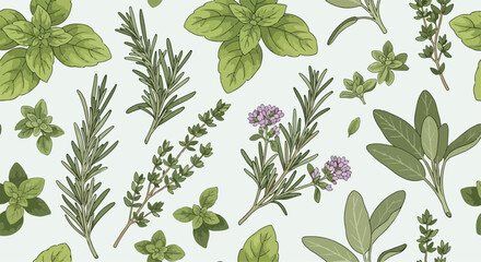 Vintage botanical herb seamless pattern, hand drawn culinary herbs and spices background, rosemary and basil leaf vector illustration, organic garden foliage © image stock