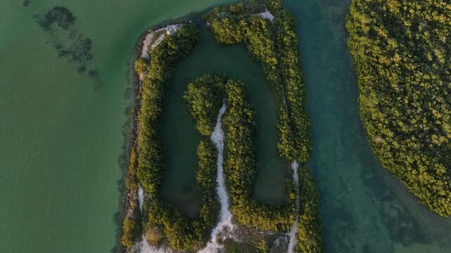 Aerial view of Yucalpeten mangroves with turquoise water channels and white sand paths in Progreso, Yucatan, Mexico.