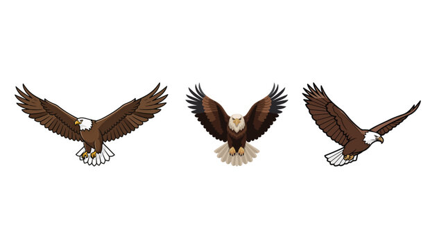 Three cartoon bald eagles flying with wings spread bald eagle white background animal graphic bird illustration wild bird wildlife