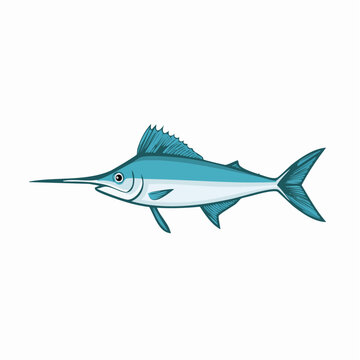 Blue Marlin Illustration