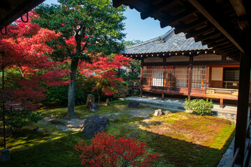 Fototapeta premium Colorful autumn foliage leaf garden of Kennin-ji temple, Kyoto