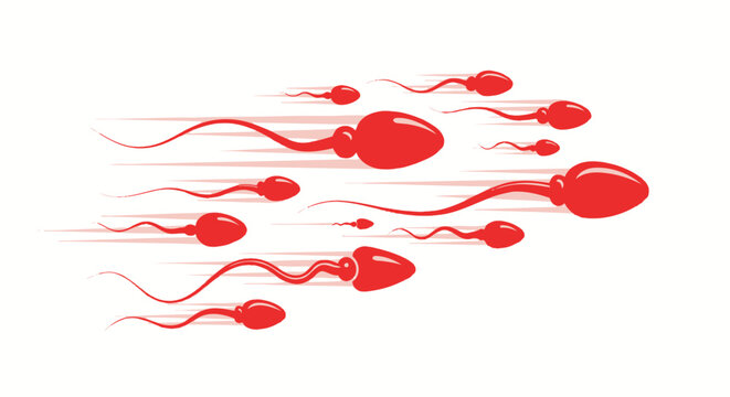 Red Sperm Cells Swimming Fast Motion