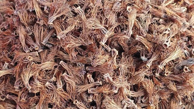 Dried kapok flowers