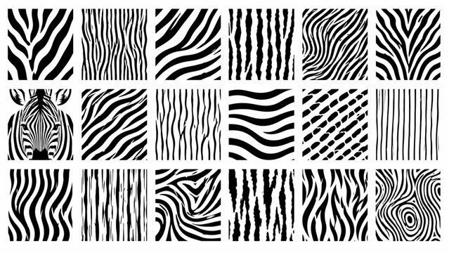 Set of Black and White Zebra Print Texture Patterns and Animal Skin Backgrounds