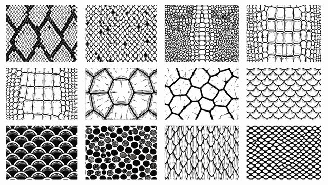 Collection of Black and White Reptile Skin and Scale Texture Patterns