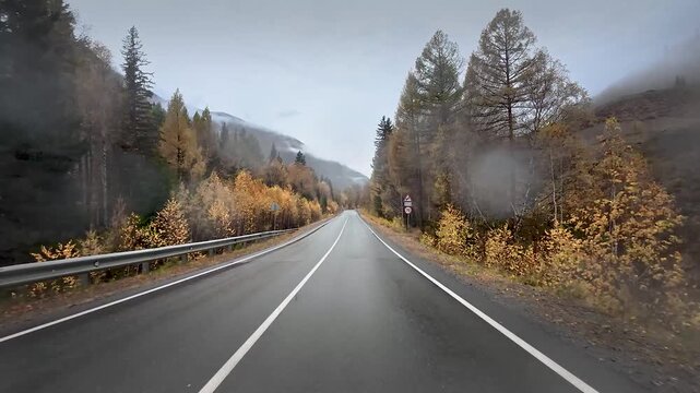 Peaceful Drive Along Autumn Mountain Road Through Golden Forest And Foggy Altai Valleys With Atmospheric Journey On Chuysky Trakt In Siberia