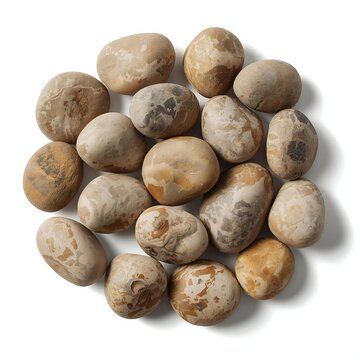 A pile of smooth natural river stones with brown and green mossy texture arranged in a round shape
