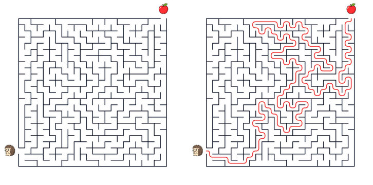 Square maze puzzle hedgehog path to apple with solution for attention