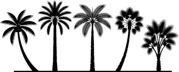 Set of black palm tree silhouettes featuring different tropical coconut date and fan palms for summer beach and vacation concepts © fepro