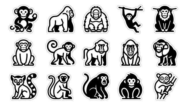Various monkeys and primates in different poses are illustrated.