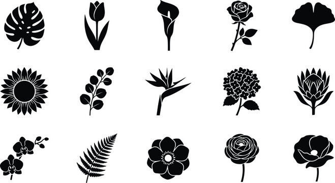 Collection of black silhouette floral and leaf on white background, flower plant
