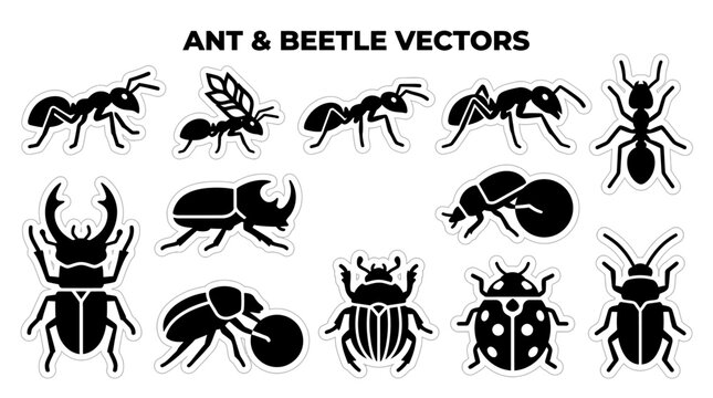 A collection of various ant and beetle illustrations in different poses and shapes.