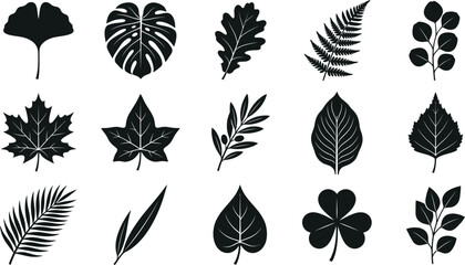 Collection of black silhouetted plant leaves and branches on white background, leaf nature © Graphic Shops
