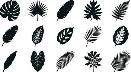 Collection of black tropical leaf silhouettes on white background, diverse shapes tropical leaves black and white © Graphic Shops